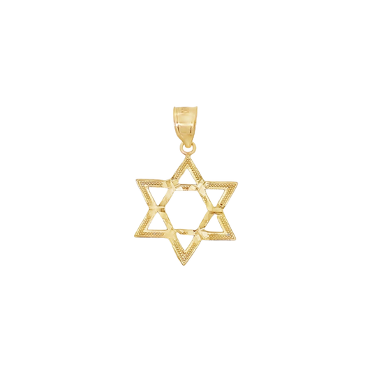 14K Gold Star of David Pendant