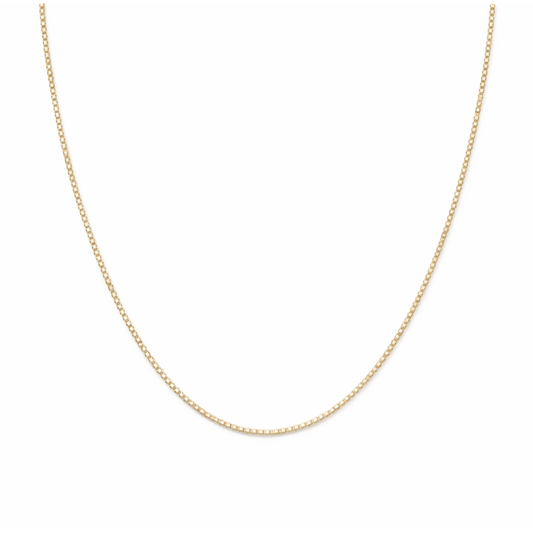 14K Gold Box Chain